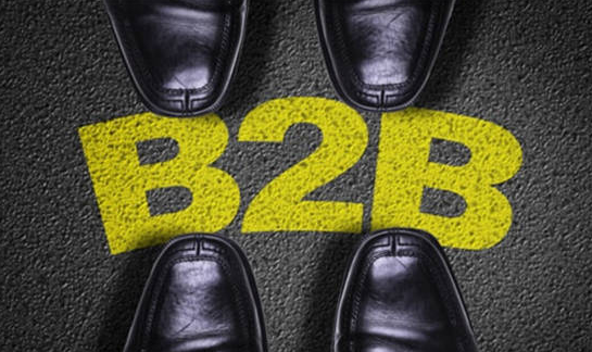 新蛋B2B業(yè)務(wù)增長率遠(yuǎn)超B2C 年銷售額提高17%