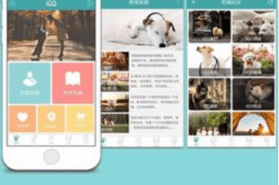 新能源APP開(kāi)發(fā)
