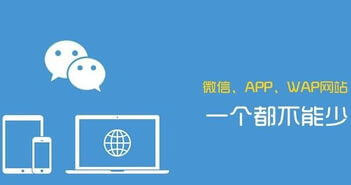 影響開發(fā)軟件APP的價格有哪些因素？