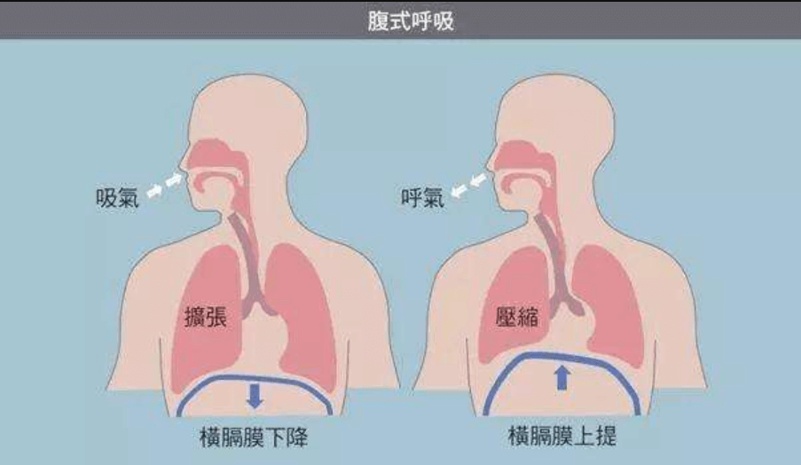 運動健身APP開發(fā)公司哪家好？