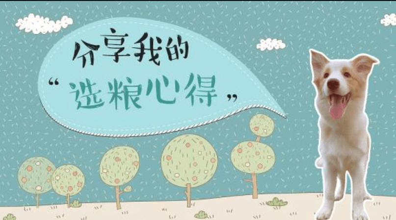 成都寵物APP開發(fā)公司哪家好？米么信息靠譜嗎？