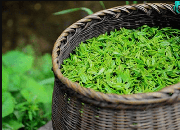 成都APP定制一款茶葉商城APP一般都有這些功能：用戶登錄注冊、茶葉商品展現(xiàn)、茶葉分類搜索、用戶提交訂單付款的這些基礎(chǔ)功能，那么就一起來看看成都APP定制的這些功能都有什么特點吧：